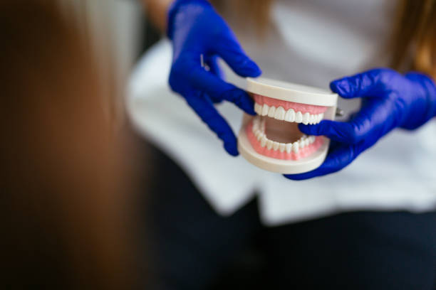 Why Choose Us for Your Dental Needs in South Ogden, UT